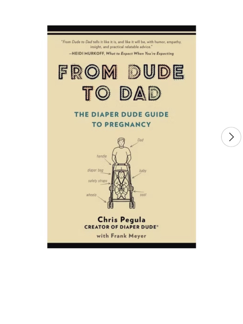 From Dude to Dad by Chris Pegula & Frank Meyer (Paperback) Book